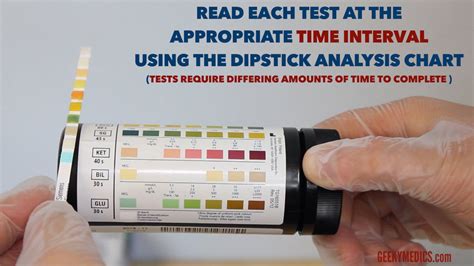 urinalysis test strips red bottle|reading urine dipstick test results.